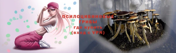 MDMA Алексеевка
