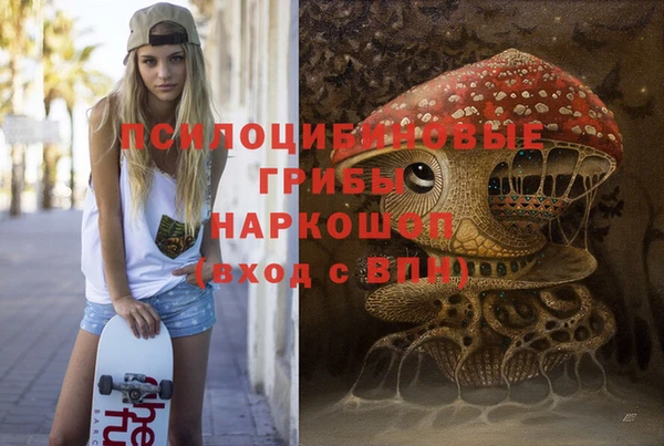 мет Алексин
