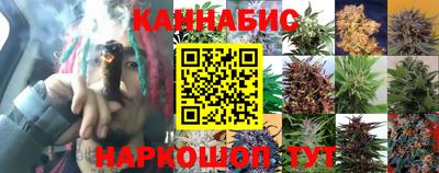 ALPHA PVP Коммунар