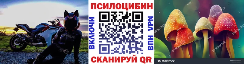 мориарти телеграм  Йошкар-Ола  Псилоцибиновые грибы мухоморы 